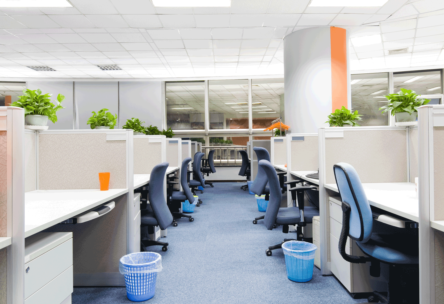 The True Impact of Office Cleanliness on Client Impressions